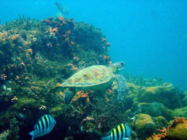 Praia de Araçatiba Pousada Tropical Aracatiba المظهر الخارجي الصورة